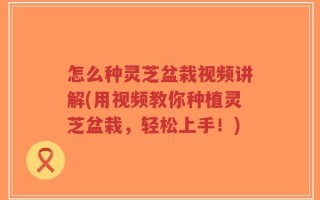 怎么种灵芝盆栽视频讲解(用视频教你种植灵芝盆栽，轻松上手！)