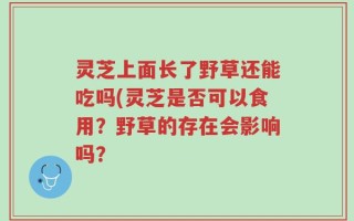 灵芝上面长了野草还能吃吗(灵芝是否可以食用？野草的存在会影响吗？