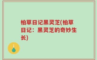 柏草日记黑灵芝(柏草日记：黑灵芝的奇妙生长)