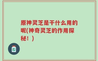 原神灵芝是干什么用的呢(神奇灵芝的作用探秘！)