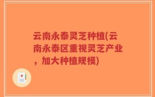 云南永泰灵芝种植(云南永泰区重视灵芝产业，加大种植规模)