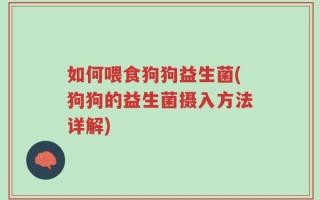 如何喂食狗狗益生菌(狗狗的益生菌摄入方法详解)