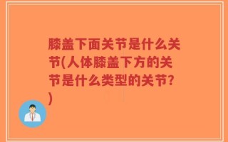 膝盖下面关节是什么关节(人体膝盖下方的关节是什么类型的关节？)