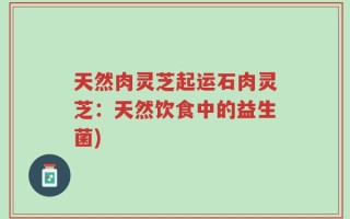 天然肉灵芝起运石肉灵芝：天然饮食中的益生菌)