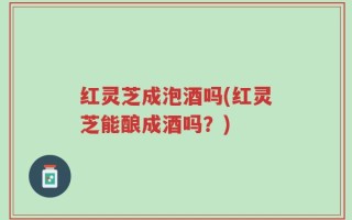 红灵芝成泡酒吗(红灵芝能酿成酒吗？)