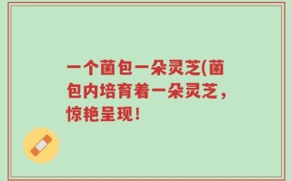 一个菌包一朵灵芝(菌包内培育着一朵灵芝，惊艳呈现！
