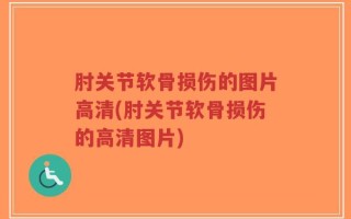 肘关节软骨损伤的图片高清(肘关节软骨损伤的高清图片)