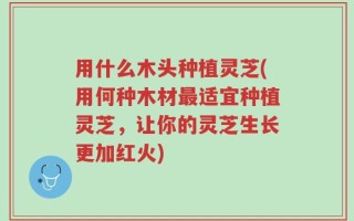用什么木头种植灵芝(用何种木材最适宜种植灵芝，让你的灵芝生长更加红火)