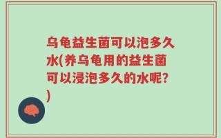 乌龟益生菌可以泡多久水(养乌龟用的益生菌可以浸泡多久的水呢？)