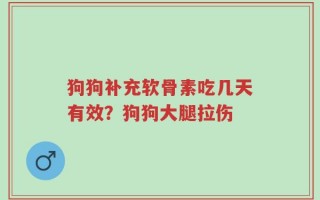 狗狗补充软骨素吃几天有效？狗狗大腿拉伤