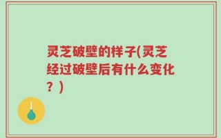 灵芝破壁的样子(灵芝经过破壁后有什么变化？)