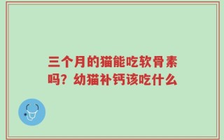 三个月的猫能吃软骨素吗？幼猫补钙该吃什么