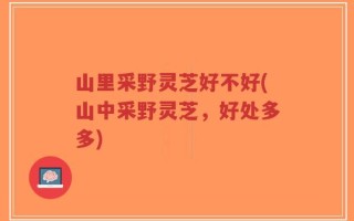 山里采野灵芝好不好(山中采野灵芝，好处多多)