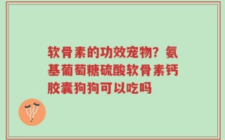软骨素的功效宠物？氨基葡萄糖硫酸软骨素钙胶囊狗狗可以吃吗