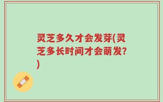 灵芝多久才会发芽(灵芝多长时间才会萌发？)