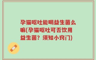 孕猫呕吐能喝益生菌么嘛(孕猫呕吐可否饮用益生菌？须知小窍门)