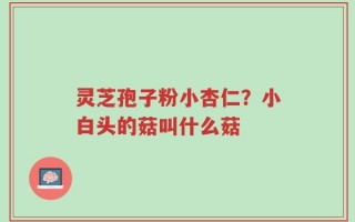 灵芝孢子粉小杏仁？小白头的菇叫什么菇