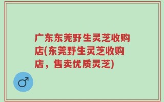 广东东莞野生灵芝收购店(东莞野生灵芝收购店，售卖优质灵芝)