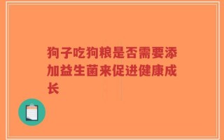 狗子吃狗粮是否需要添加益生菌来促进健康成长