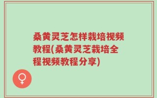 桑黄灵芝怎样栽培视频教程(桑黄灵芝栽培全程视频教程分享)