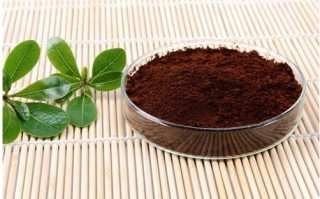 灵芝孢子粉的价位太便宜的可以放心吃吗？
