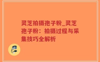 灵芝拍摄孢子粉_灵芝孢子粉：拍摄过程与采集技巧全解析