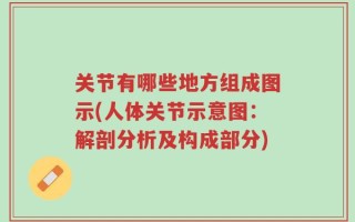 关节有哪些地方组成图示(人体关节示意图：解剖分析及构成部分)