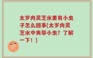 太岁肉灵芝水里有小虫子怎么回事(太岁肉灵芝水中夹带小虫？了解一下！)