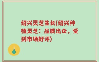 绍兴灵芝生长(绍兴种植灵芝：品质出众，受到市场好评)