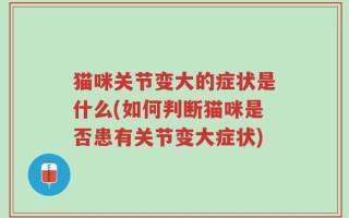 猫咪关节变大的症状是什么(如何判断猫咪是否患有关节变大症状)
