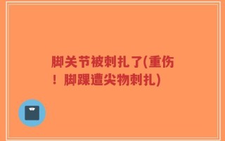 脚关节被刺扎了(重伤！脚踝遭尖物刺扎)
