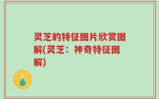灵芝的特征图片欣赏图解(灵芝：神奇特征图解)