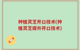 种植灵芝开口技术(种植灵芝提升开口技术)