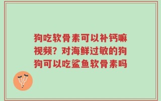 狗吃软骨素可以补钙嘛视频？对海鲜过敏的狗狗可以吃鲨鱼软骨素吗
