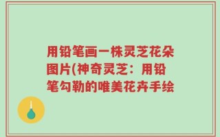 用铅笔画一株灵芝花朵图片(神奇灵芝：用铅笔勾勒的唯美花卉手绘