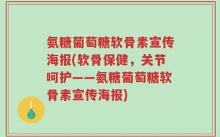 氨糖葡萄糖软骨素宣传海报(软骨保健，关节呵护——氨糖葡萄糖软骨素宣传海报)