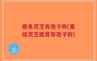 鹿角灵芝有孢子粉(重组灵芝鹿茸带孢子粉)