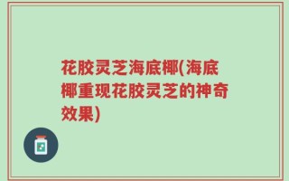 花胶灵芝海底椰(海底椰重现花胶灵芝的神奇效果)