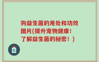 狗益生菌的用处和功效图片(提升宠物健康！了解益生菌的秘密！)
