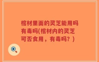 棺材里面的灵芝能用吗有毒吗(棺材内的灵芝可否食用，有毒吗？)