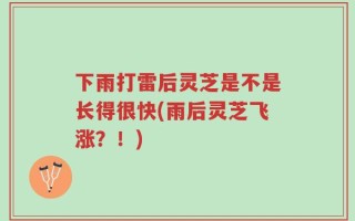 下雨打雷后灵芝是不是长得很快(雨后灵芝飞涨？！)