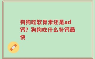 狗狗吃软骨素还是ad钙？狗狗吃什么补钙最快