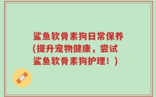 鲨鱼软骨素狗日常保养(提升宠物健康，尝试鲨鱼软骨素狗护理！)