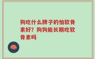 狗吃什么牌子的怕软骨素好？狗狗能长期吃软骨素吗