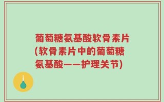 葡萄糖氨基酸软骨素片(软骨素片中的葡萄糖氨基酸——护理关节)
