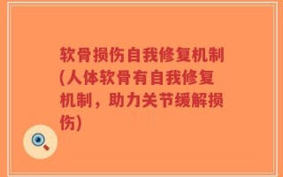 软骨损伤自我修复机制(人体软骨有自我修复机制，助力关节缓解损伤)