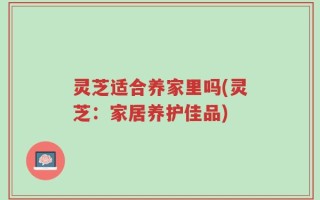 灵芝适合养家里吗(灵芝：家居养护佳品)