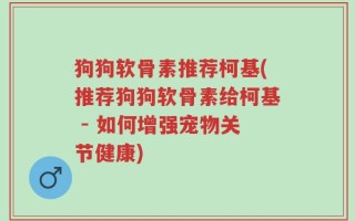 狗狗软骨素推荐柯基(推荐狗狗软骨素给柯基 - 如何增强宠物关节健康)