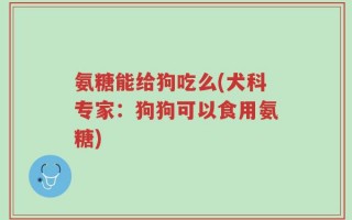 氨糖能给狗吃么(犬科专家：狗狗可以食用氨糖)