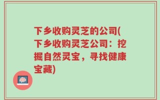 下乡收购灵芝的公司(下乡收购灵芝公司：挖掘自然灵宝，寻找健康宝藏)